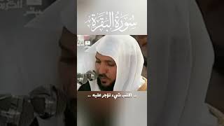 سورة البقرة بصوت الشيخ ماهر المعيقلي #الله #الإسلام #القرآن #وقفات #راحة_نفسية #السكينة