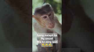 #buhayofw #popular #funny #millions #views #ytshort #short #manyviews #funnylaughing