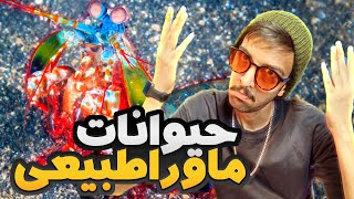 حیواناتی که قهرمانان مارول رو شرمنده کردن!؟!؟