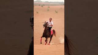 Dubai desert horse riding #horse #horseridingschool #love #horsebackriding