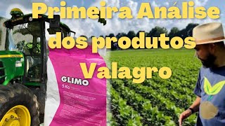 Primeira análise dos produtos da Valagro, utilizados no sulco de plantio em nossa área de teste!!!