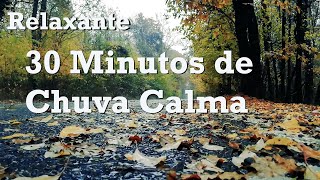 Chuva Calma - Paz, Relaxamento, Sono Profundo - #meditação #paz #foco #meditaçãoguiada #relaxamento