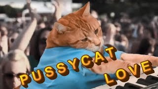 Keyboard Cat - I Don't Know Why I Love You - BUT I DOOOO