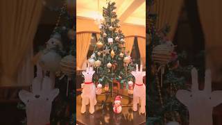 Merry Christmas#video #chef DILIP RAWAL #food VOLG