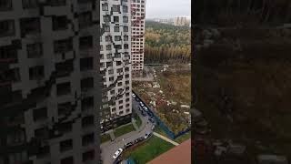 Непонятная музыка во дворе