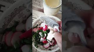 Необычайно вкусный салат из редиски