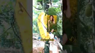 fruit cutting; cutting durian;#durian #fruit #funplay #shorts #youtubeshorts