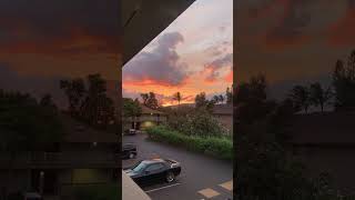 View In Hawaii tiktok virginiaaa s