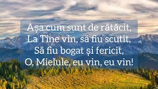 Alin și Emima Timofte - Așa cum sunt la Tine vin. (Versuri)