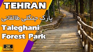 Tehran 2021 - Walking in Taleghani Forest Park پیاده روی در پارک جنگلی طالقانی