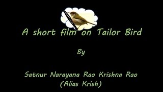 Angaladalli (ಅಂಗಳದಲ್ಲಿ) - A Short movie on Tailor Bird