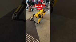 Meet robot dog at UTS #uts #robot #doglover #dogrobot #robotlove #australia #university #sydney