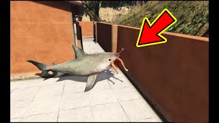 GTA 5 Water Ragdolls | SPIDERMAN JUMPS / FAILS | FUNNY VIDEO