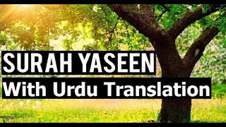 Surah Yaseen | Quran with Urdu Translation | Chapter / Surah 36 | Para 22