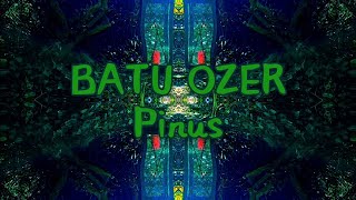 BATU OZER - Pinus