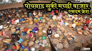 ||Dry fish market|| सुकी ताजी मच्छीचा अलिबाग-पोयनाडचा सर्वात मोठा आठवडा बाजार #poynaddryfishmarket