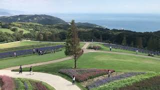 Awaji Hanasajiki, Awaji Island, Hyogo in Japan / جمال في اليابان