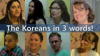 What ARE Koreans like? (with subtitles)