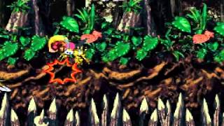 Donkey Kong Country 2 (Perfect Run): World 8, Level 3