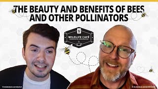 What’s buzzing with pollinator conservation? How bees and insects benefit habitats and ecosystems.