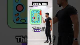 Biology Class - Plant Cell Specialisation