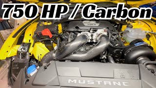 2024 Mustangs Of Sema 2023 Procharger Stage 2 Bolt On Supercharger