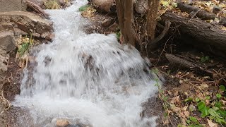 أمطار غزيرة في منطقة #بيارة #هورمان 6-8-2021 Heavy rain in the area of ​​#Bayara #Hormann