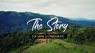 Why did I buy a drone? DJI Mini 2 Cinematic | Stories From Above