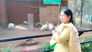 వరంగల్ లో మేము చూసిన అరుదైన పక్షులు / Warangal Kakatiya Zoo Park | Tourist Place | Telangana