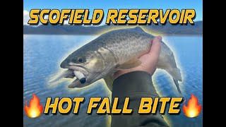 Scofield Reservoir---HOT FALL BITE!!!