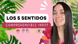 📣Spanish for beginners | Comprehensible input in Spanish