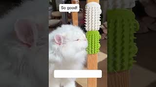 Silicone Cat Self Groomer Massage Brush