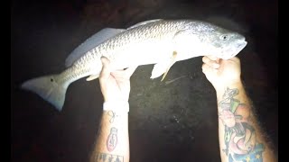 Net Pins, Catch Red Drum - Sarasota Night Fishing