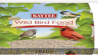 Kaytee Wild Bird Basic Blend Bird Seed Food For A Variety Of Wild Birds, 20 Pound