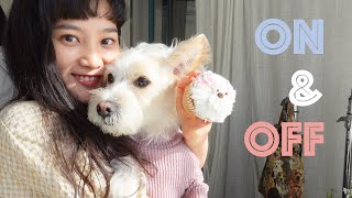 VLOG | 일하고 잘 먹고 잘 쉬기