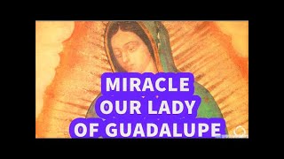 OUR LADY of GUADALUPE Explained🙏 MIRACLE of Our Lady of Guadalupe 🙏6 Million Converts🙏FeastDay Dec12