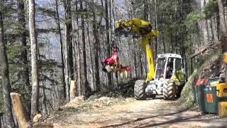 Menzi Muck M545 Harvester in Sachseln (CH)