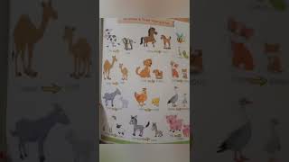 Animals & their sounds | Animals & their Young Ones #shorts #ashortaday #competitionexam #gk #yt