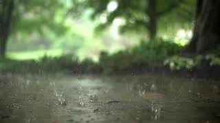 BEAUTIFUL RAIN | NATURE | BEAUTY