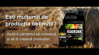 Biostimulatorul BlackJak - Reface solul pentru o productie mai buna    |    Aectra