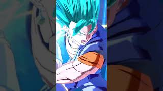 Vegito wins