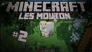 Je déteste officiellement les moutons... |Minecraft| (Épisode 2)