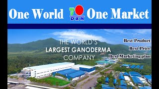 dxn company profile