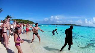 Shark wrangling - Exuma cays