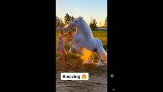 Sumeeta Hot Fitness Model After Workout Playing With White Horse 🐴 Stunt Status Video