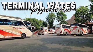 VLOG TERMINAL WATES SARANGNYA BUS MURNI JAYA