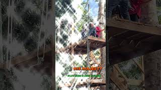 Experience Zip-line and Canopy Walkway at His Majesty Place Farm & Agro Tourism