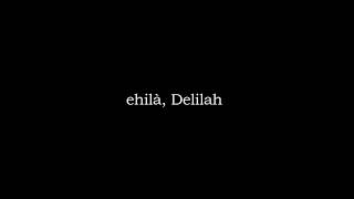 Plain White T's - Hey There Delilah [Traduzione]