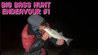 Big Bass, Cod, Ray & Conger Fishing | Hayling Island