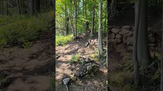 mtb drop at a cool park #mtb #norco #shorts